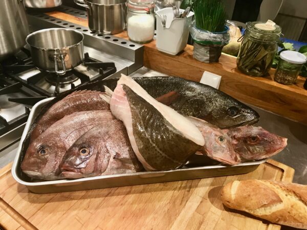 Fische für Kochkurs