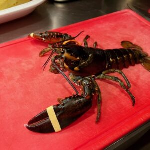 Gourmet-Hummer-Kochkurs am 28.11.26