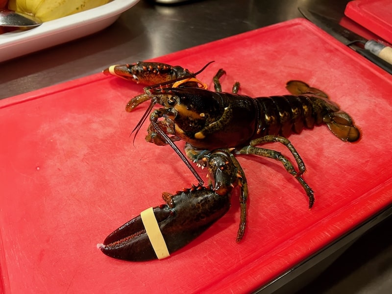Gourmet-Hummer-Kochkurs am 06.11.26 – Bild 3