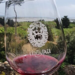 Gourmet-Kochkurs Genussreise Languedoc am 17.4.26