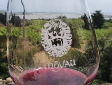 Bild Moyau-Wein