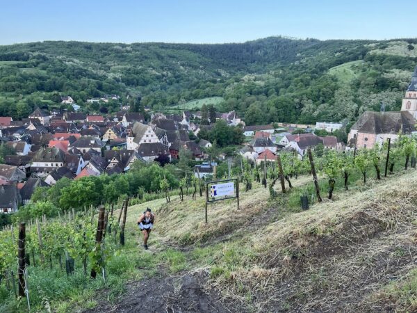 Claudes ChefsTable Elsassmenü mit Bio-Winzer Remy Gresser am 29.3.25  - ausgebucht – Bild 5