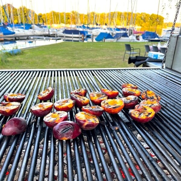 grillpfirsisch mit ausblick auf see
