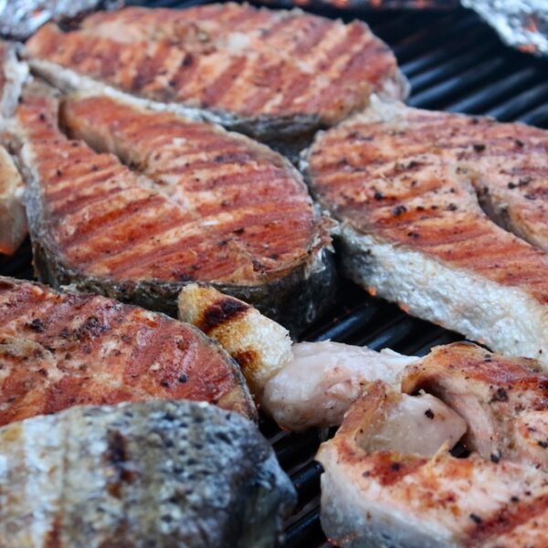 fischsteaks gegrillt fischsteaks gegrillt