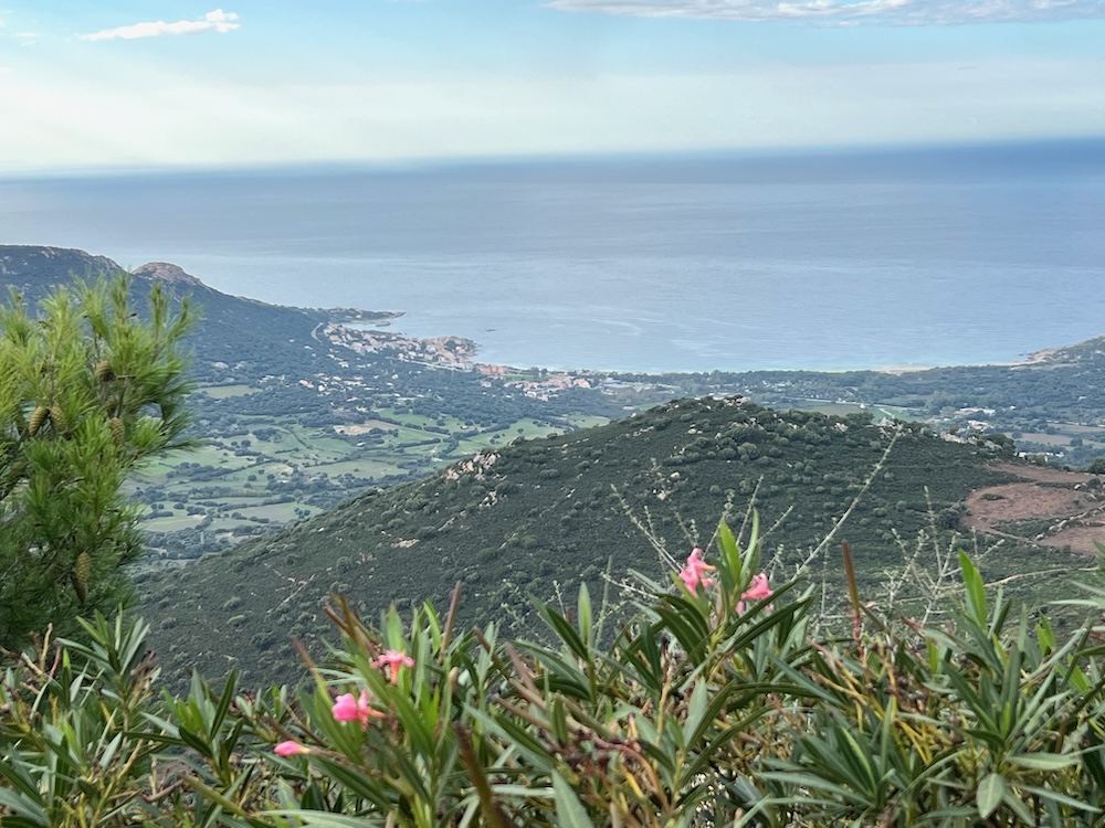 Gourmet-Kochkurs Kulinarische Inselreise nach Korsika am 18.6.2026 – Bild 6
