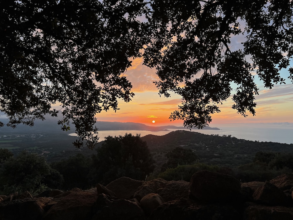 Gourmet-Kochkurs Kulinarische Inselreise nach Korsika am 18.6.2026 – Bild 23