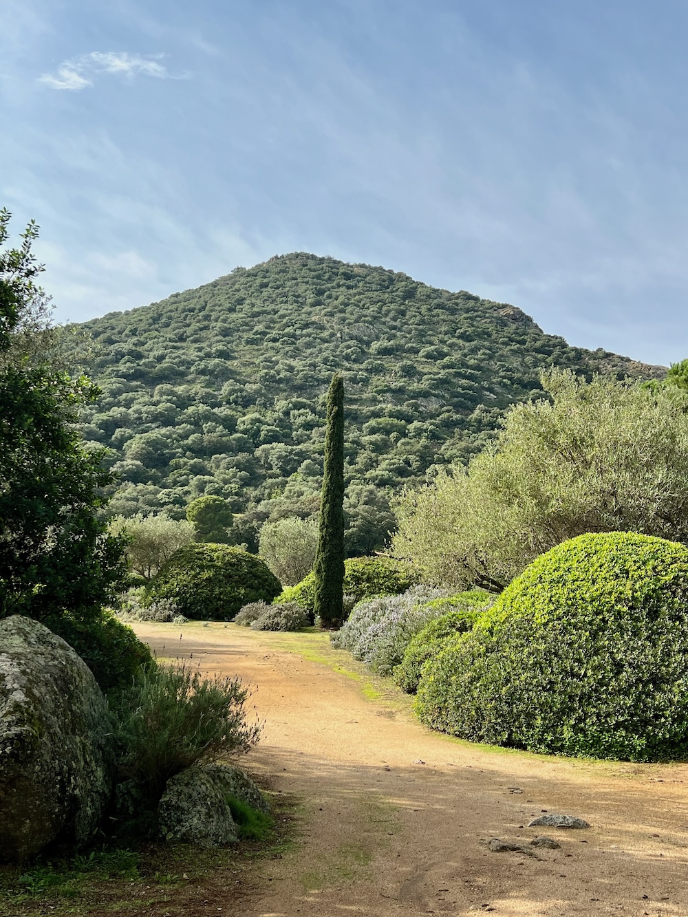 Gourmet-Kochkurs Kulinarische Inselreise nach Korsika am 18.6.2026 – Bild 12